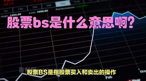 BS是什么意思啊 怎么理解BS的意思