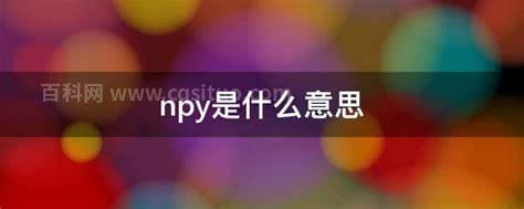 npy是什么意思 npy的意思是什么