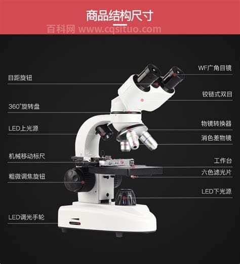 低倍镜和高倍镜的区别 低倍镜和高倍镜的区别是什么