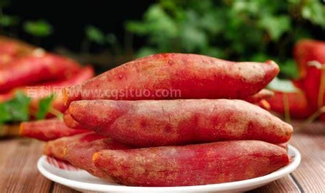 红薯需要蒸多久才熟 红薯一般蒸多久才熟