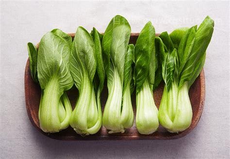 青青菜是什么野菜，青青菜有哪些功效和作用