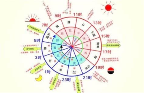 人体排毒时间是什么时候 人体排毒时间表