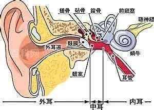 4种方法来缓解耳朵堵塞
