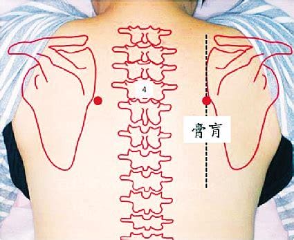 膏肓俞穴的准确位置图和作用