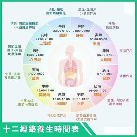 肝脏排毒时间表