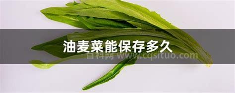 油麦菜能保存多久