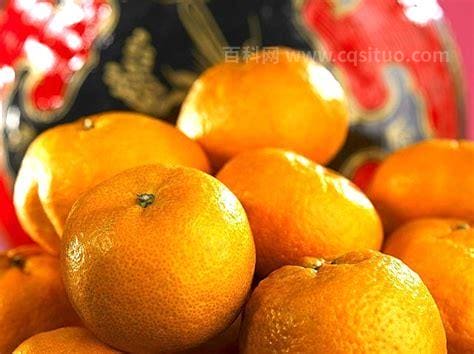 橙子橘子有什么区别