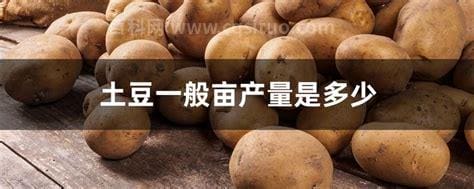 土豆一般亩产量是多少