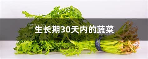 生长期30天内的蔬菜