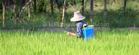 胺鲜乙烯利适用于哪些农作物