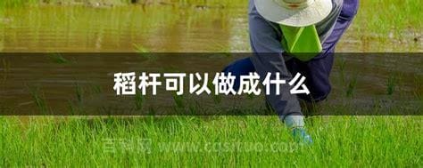 稻杆可以做成什么