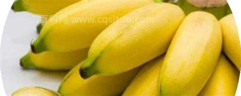 香蕉是哪个季节的水果