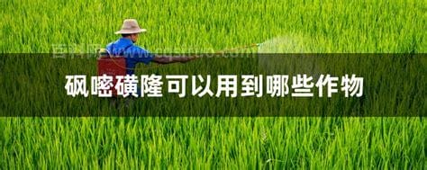 砜嘧磺隆可以用到哪些作物