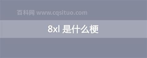 8xl是什么梗