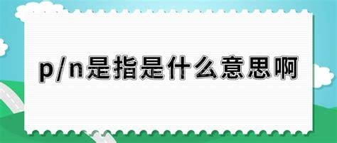 p/n是指是什么意思啊