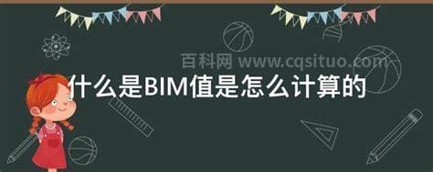 什么是BIM值是怎么计算的