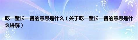 吃一堑长一智的意思是什么意思