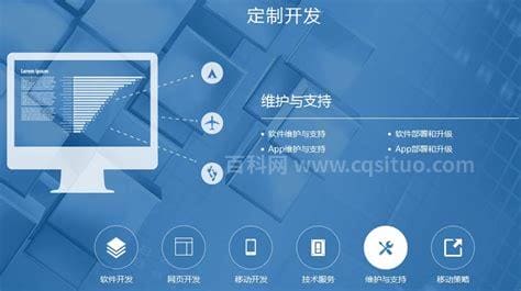 软件如何定制开发