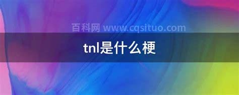 tnl是什么梗