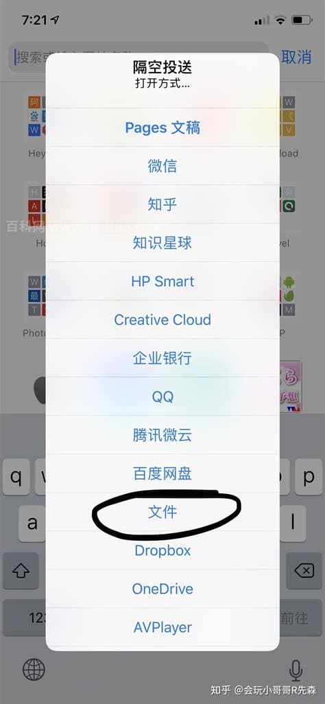 ios浏览器下载的文件在哪