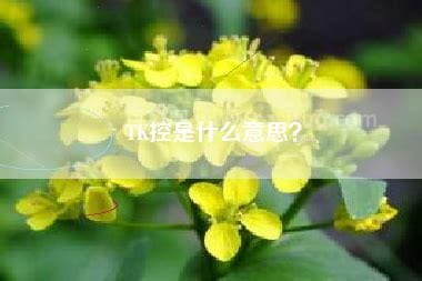 tk控是什么意思