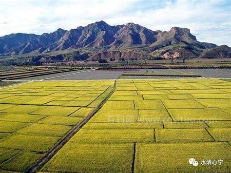 田垄和田埂的区别