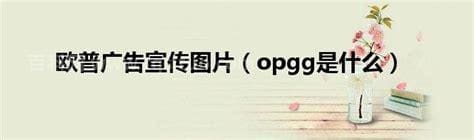 opgg是什么