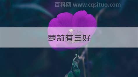 萝莉有三好是什么意思