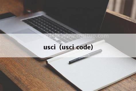 usci是什么企业代码