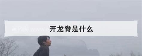 开龙脊是什么