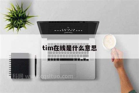 tim在线什么意思