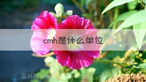 cmh是什么单位