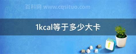 1kcal等于多少大卡