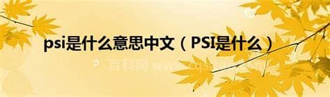 PSI是什么意思