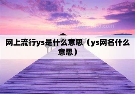 网上流行ys是什么意思