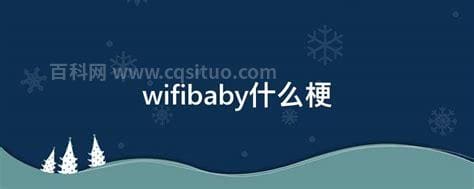 wifibaby什么梗