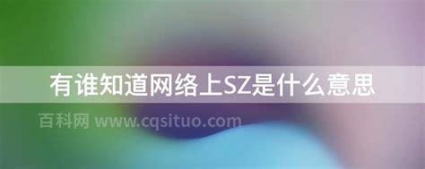 有谁知道网络上SZ是什么意思