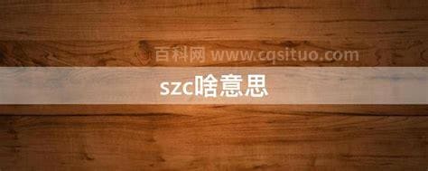 szc啥意思