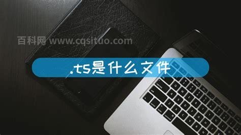 .ts是什么文件