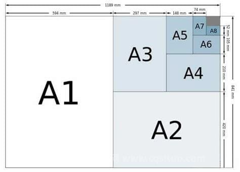 a4纸尺寸是多少寸