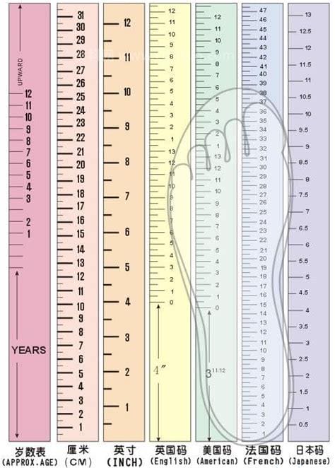 20码的鞋子是多少厘米