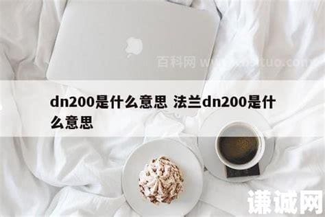 dn200是什么意思