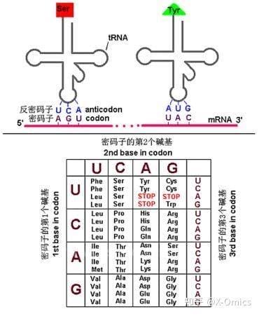 什么是简并性