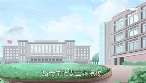 2a大学是什么意思