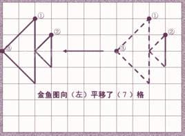 平移的定义(平移的定义与性质)