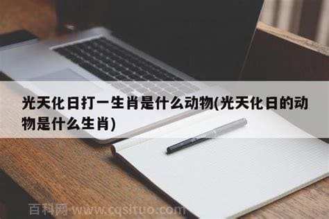 光天化日打一生肖（光天化日打个生肖）