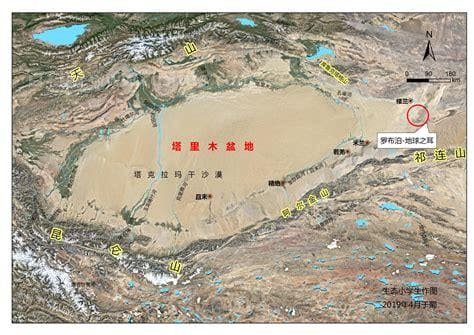 塔里木盆地在哪个省（位于新疆南部的塔里木盆地特征）