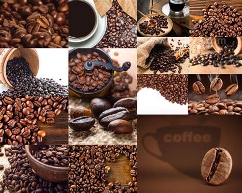 咖啡原料是什么 咖啡的原料