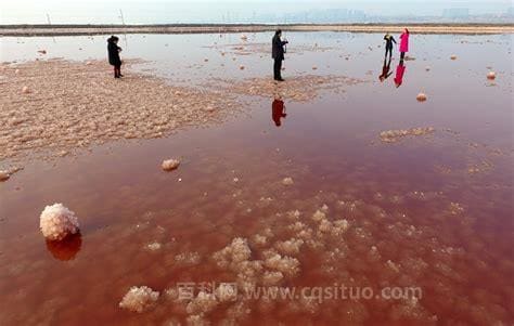 盐湖在哪个城市（被称为中国死海的是哪个内陆咸水湖）