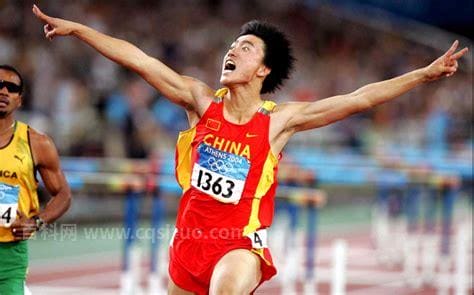 刘翔2004年雅典奥运会(刘翔2004年雅典奥运会夺冠简介)